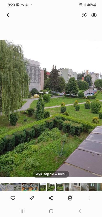 Apartament Lakowa Bad Altheide Exterior foto