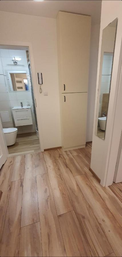 Apartament Lakowa Bad Altheide Exterior foto