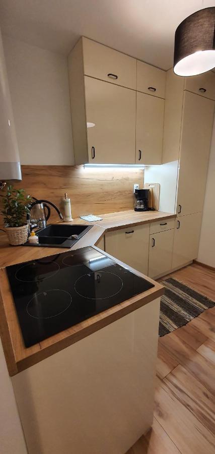 Apartament Lakowa Bad Altheide Exterior foto
